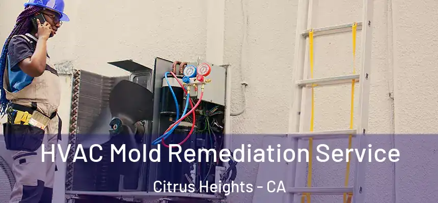  HVAC Mold Remediation Service Citrus Heights - CA