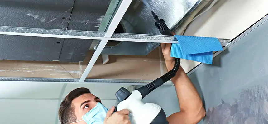 Our Air Duct Rodent Removal Services in Citrus Heights, CA