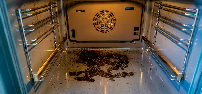 Our Dryer Vent Mold Cleaning Services in Citrus Heights, CA