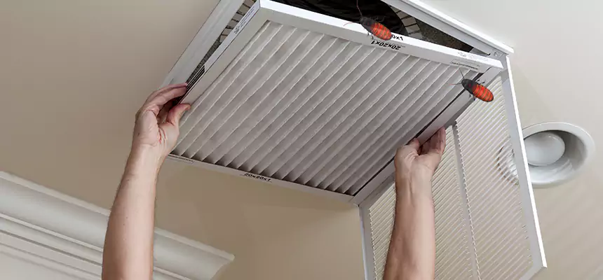 Our Insect Removal from Air Ducts Services in Citrus Heights, CA