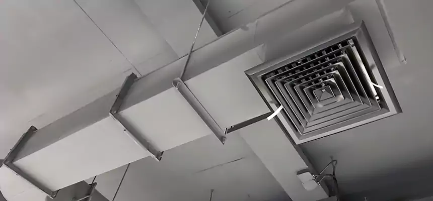 Our Pest Removal From Ducts Services in Citrus Heights, CA