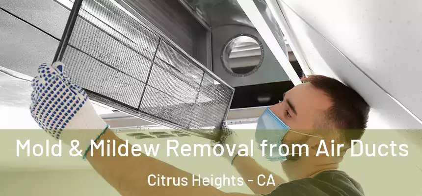 Mold & Mildew Removal from Air Ducts Citrus Heights - CA