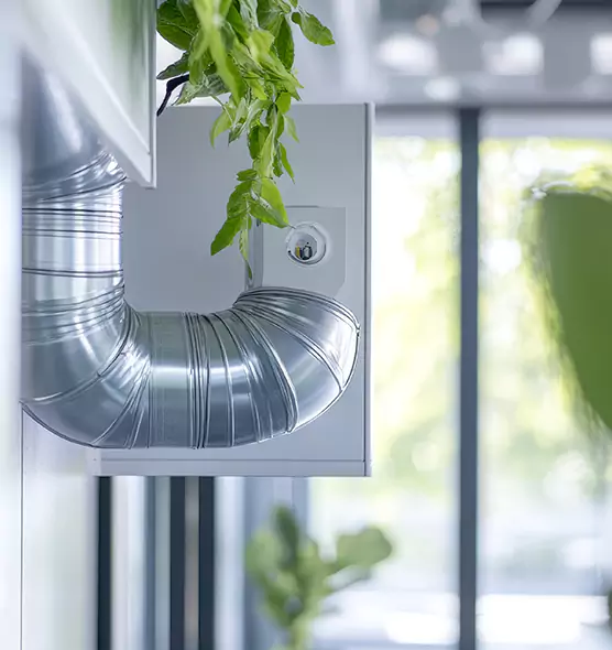 Professional Eco-Friendly Duct Cleaning Services in Citrus Heights, CA