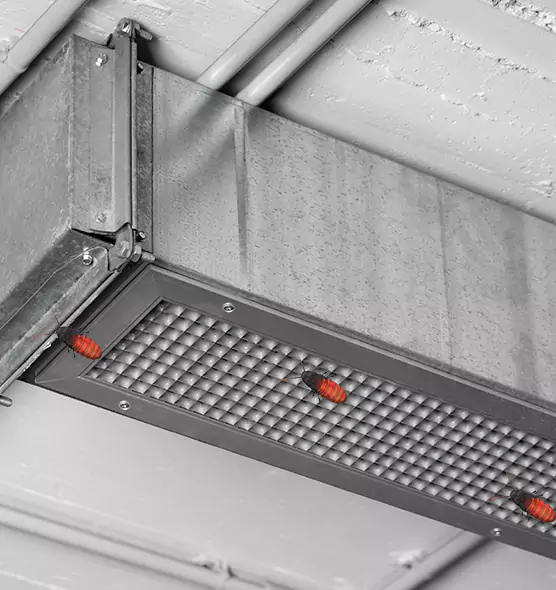 Affordable Insect Removal from Air Ducts in Citrus Heights, CA
