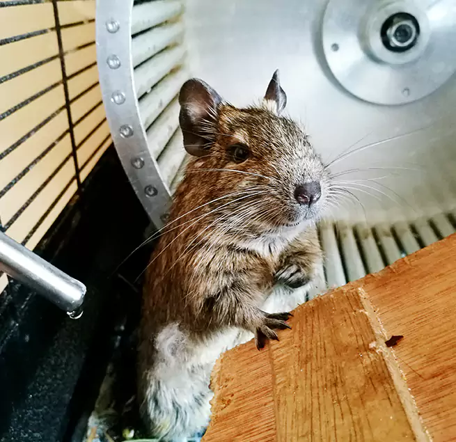 Why Homeowners & Businesses Trust Us Citrus Heights, CA