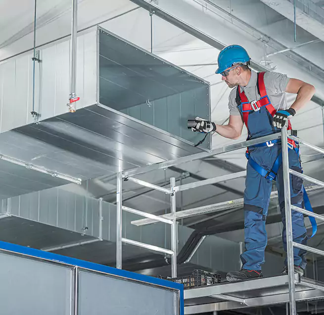 Why Homeowners & Businesses Trust Us in Citrus Heights, CA?