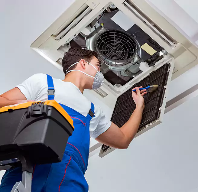 Why Homeowners & Businesses Trust Us in Citrus Heights, CA