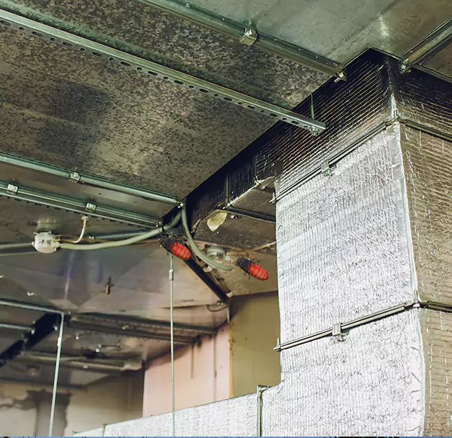 Why Homeowners & Businesses Trust Us Citrus Heights, CA?