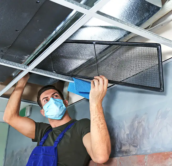 Why Homeowners & Businesses Trust Us in Citrus Heights, CA?