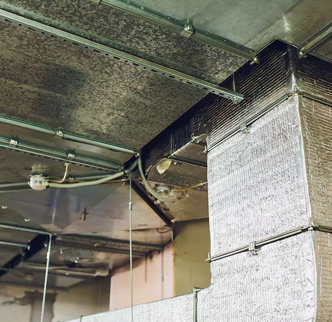 Why Homeowners & Businesses Trust Us in Citrus Heights, CA?