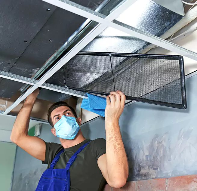 Why Homeowners Businesses Trust Us in Citrus Heights, CA?